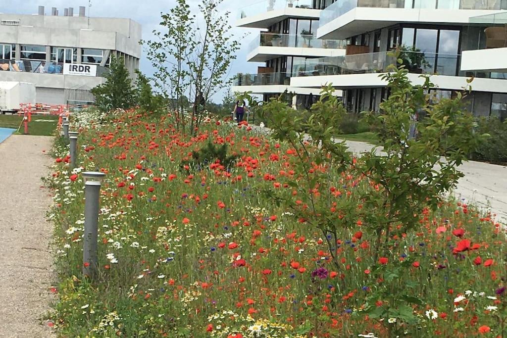 Апартаменты Bo Med Stil Og Udsigt Til Aarhus Lystbadehavn Экстерьер фото